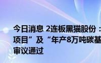 今日消息 2连板黑猫股份：投资新建“5万吨/年超导电炭黑项目”及“年产8万吨碳基材料一体化项目”尚需股东大会审议通过