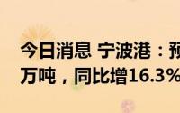 今日消息 宁波港：预计7月货物吞吐量8688万吨，同比增16.3%