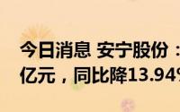今日消息 安宁股份：上半年归母净利润6.56亿元，同比降13.94%