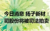 今日消息 扬子新材：控股股东所持10.49%公司股份将被司法拍卖