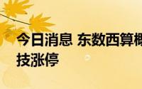 今日消息 东数西算概念股震荡走强，直真科技涨停