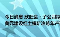 今日消息 欣旺达：子公司拟与伟明、Merit共同投资3.9亿美元建设红土镍矿冶炼年产高冰镍含镍金属4万吨 印尼项目