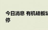 今日消息 有机硅板块震荡走强，集泰股份涨停