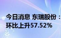 今日消息 东瑞股份：7月销售收入1.08亿元，环比上升57.52%