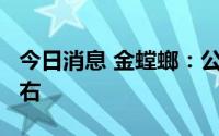 今日消息 金螳螂：公司股东目前是8.9万户左右