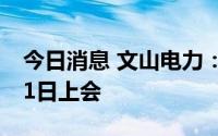 今日消息 文山电力：资产重组事项将于8月11日上会