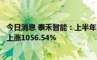 今日消息 泰禾智能：上半年归母净利润1407.05万元，同比上涨1056.54%