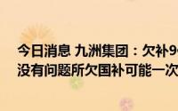 今日消息 九洲集团：欠补9亿多已回国补1亿左右，如核查没有问题所欠国补可能一次性支付到位