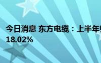 今日消息 东方电缆：上半年归母净利润5.22亿元，同比下滑18.02%