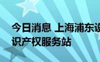 今日消息 上海浦东设立科创板拟上市企业知识产权服务站