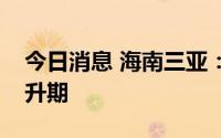 今日消息 海南三亚：本轮疫情仍处于高位上升期