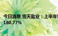 今日消息 雪天盐业：上半年归母净利润约4.61亿元，同比增180.77%