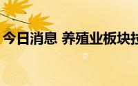 今日消息 养殖业板块拉升，立华股份涨超6%