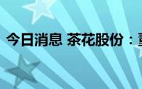 今日消息 茶花股份：董事、总经理陆辉辞职