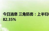 今日消息 三角防务：上半归母年净利润3.01亿元，同比增加82.35%