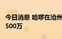 今日消息 哈啰在沧州成立新公司，注册资本1500万