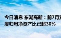 今日消息 东湖高新：前7月累计新增借款超19亿元，占上年度归母净资产比已超30%