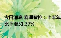 今日消息 春晖智控：上半年归母净利润约2723.05万元，同比下滑31.37%