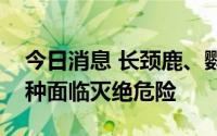 今日消息 长颈鹿、鹦鹉、橡树、仙人掌等物种面临灭绝危险