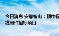 今日消息 安靠智电：预中标3518万元南方电网交流电力电缆附件招标项目
