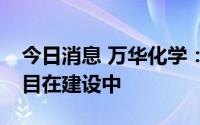 今日消息 万华化学：5万吨/年的磷酸铁锂项目在建设中