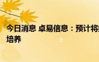 今日消息 卓易信息：预计将继续加大研发技术人员的引进及培养