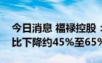 今日消息 福禄控股：预期上半年期内利润同比下降约45%至65%