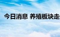 今日消息 养殖板块走低，巨星农牧跌超6%