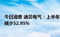 今日消息 迪贝电气：上半年归母净利润2326.76万元，同比减少52.95%