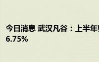 今日消息 武汉凡谷：上半年归母净利润1.9亿元，同比上涨46.75%