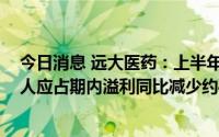 今日消息 远大医药：上半年计算对Telix投资后其公司拥有人应占期内溢利同比减少约40.92%