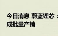 今日消息 蔚蓝锂芯：便携式储能目前尚未形成批量产销