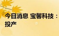 今日消息 宝馨科技：远项目将在9个月内建成投产