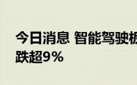 今日消息 智能驾驶板块持续走低，德赛西威跌超9%