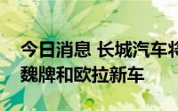 今日消息 长城汽车将于第四季度在德国交付魏牌和欧拉新车