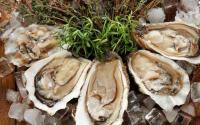 比巧克力更好：6种可以提高性欲的食物