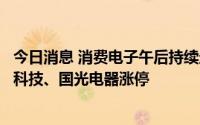 今日消息 消费电子午后持续走强，领益智造、漫步者、福蓉科技、国光电器涨停