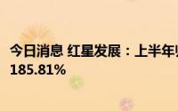 今日消息 红星发展：上半年归母净利润1.94亿元，同比上涨185.81%