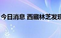 今日消息 西藏林芝发现5名核酸检测阳性人员