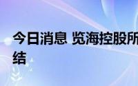 今日消息 览海控股所持3000万元股权再被冻结