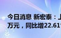 今日消息 新宏泰：上半年归母净利2867.12万元，同比增22.61%