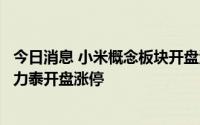 今日消息 小米概念板块开盘活跃，中京电子、宇环数控、合力泰开盘涨停