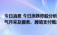今日消息 今日涨跌停股分析：66只涨停股，9只跌停股，油气开采及服务、跨境支付概念板块大涨