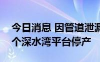 今日消息 因管道泄漏，壳牌在墨西哥湾的三个深水湾平台停产