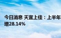 今日消息 天宜上佳：上半年归母净利润7227.79万元，同比增28.14%