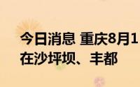 今日消息 重庆8月11日新增本土“1+1”，在沙坪坝、丰都