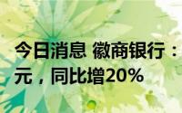 今日消息 徽商银行：上半年净利润约73.35亿元，同比增20%