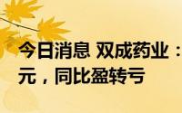 今日消息 双成药业：上半年净亏损181.38万元，同比盈转亏