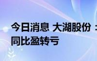 今日消息 大湖股份：上半年亏损1423万元，同比盈转亏