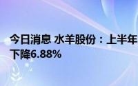 今日消息 水羊股份：上半年归母净利润8281.66万元，同比下降6.88%